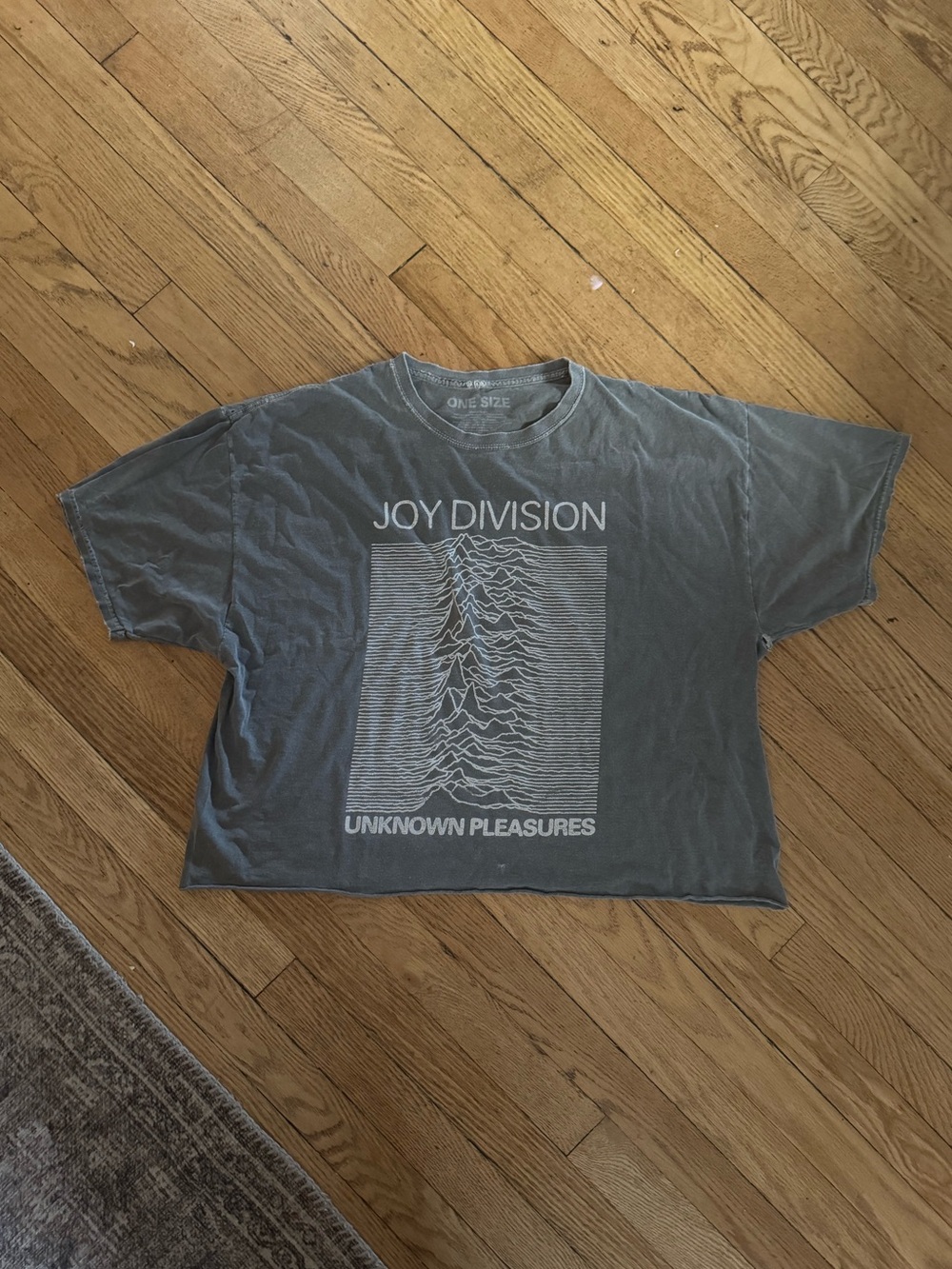 JOY DIVISION Vintage Style Band Tee Gray One Size